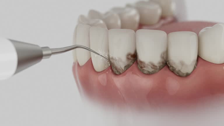 Reliable Dental contractor in Crystal Lake, FL by Dentist Open Now